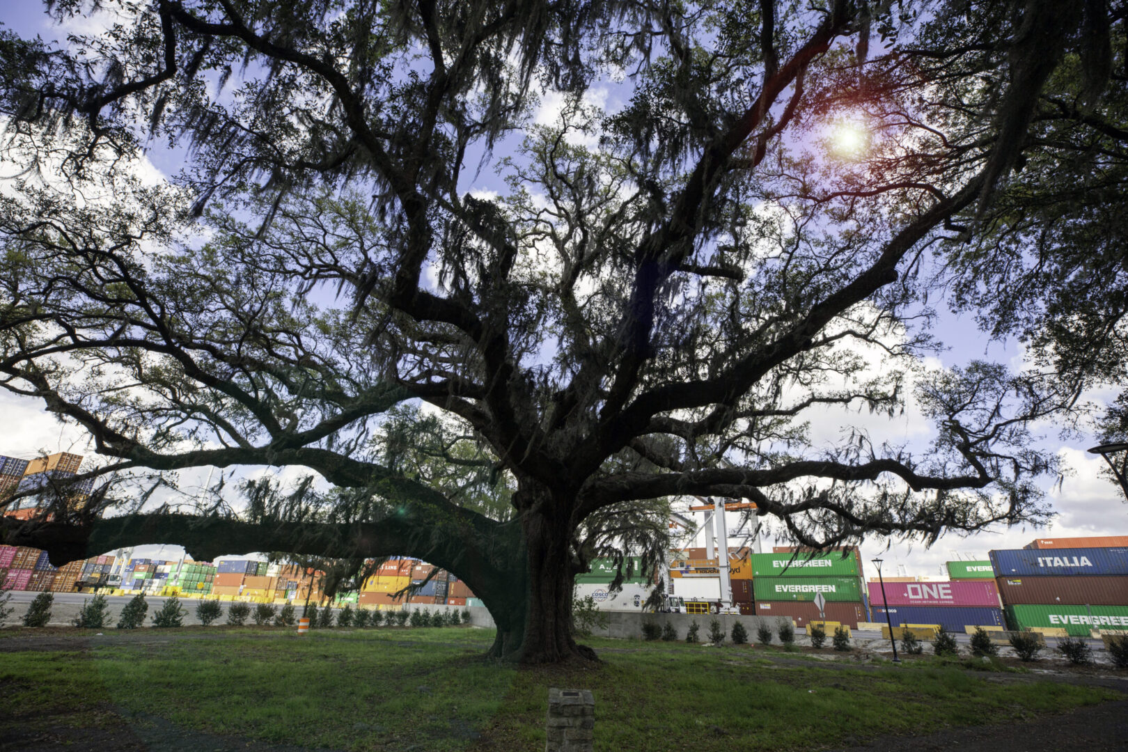 Economic Sustainability