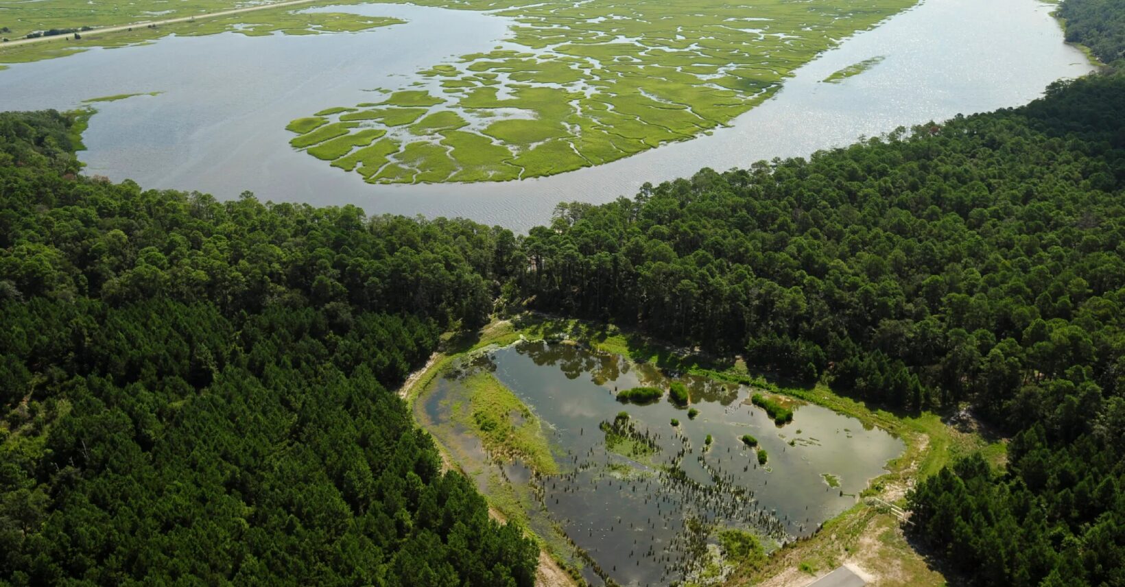 Environmental Stewardship